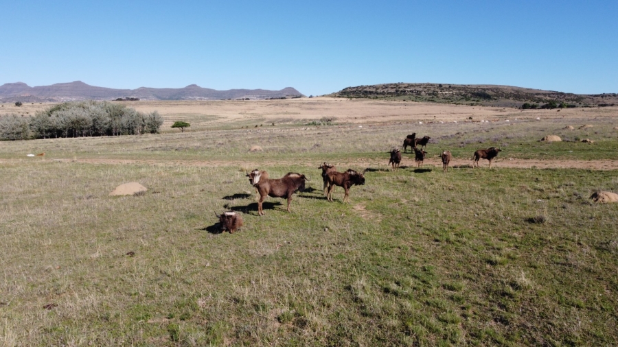 Commercial Property for Sale in Paul Roux Free State